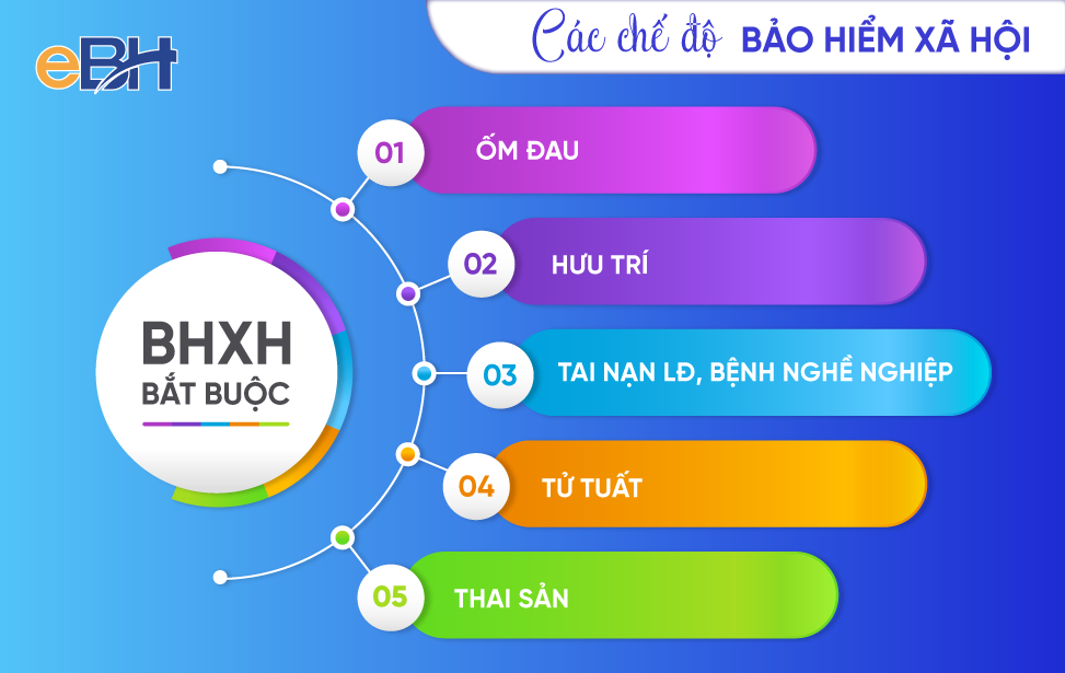 Bảo hiểm xã hội là gì và chế độ BHXH ở Việt Nam